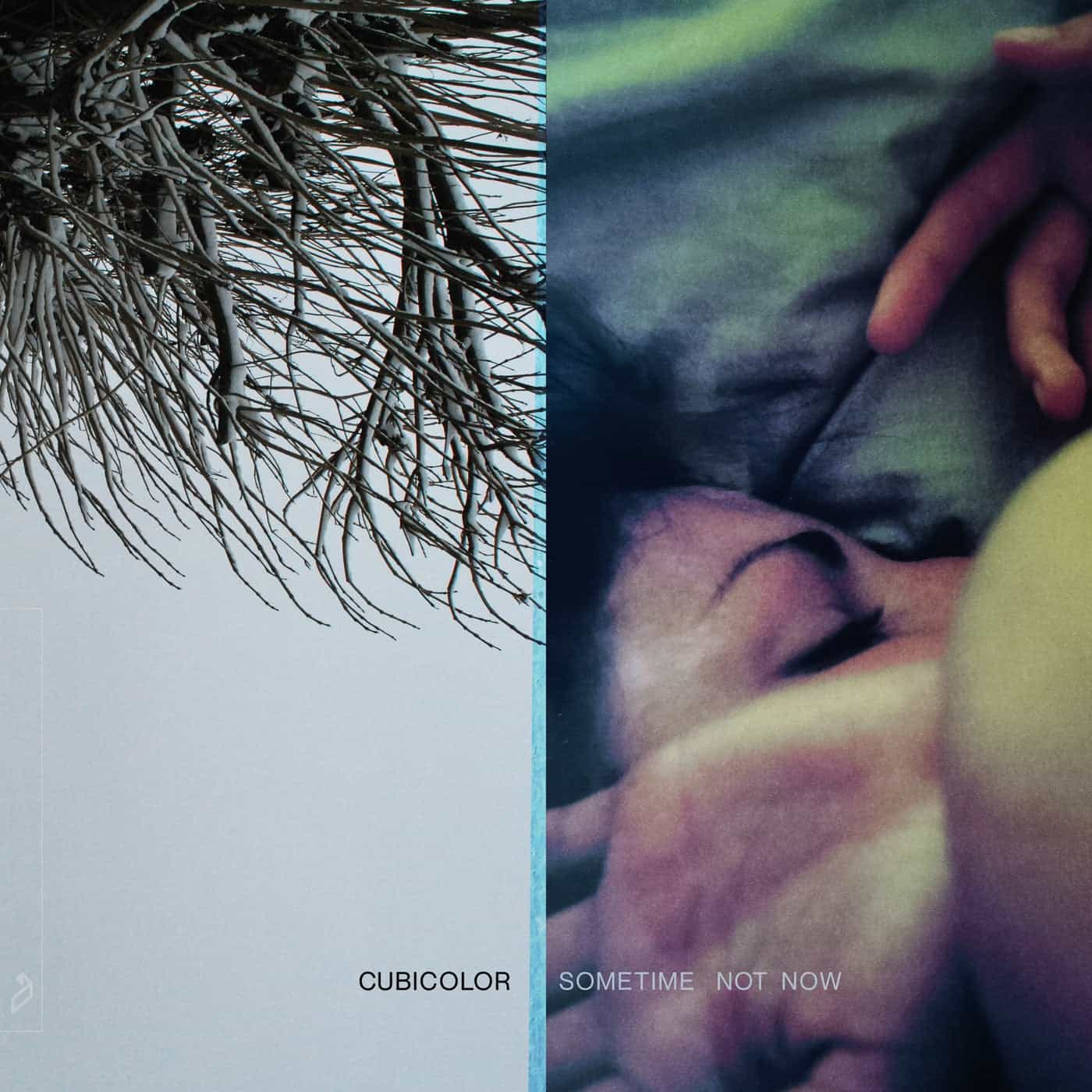 Download Cubicolor - Sometime Not Now on Electrobuzz