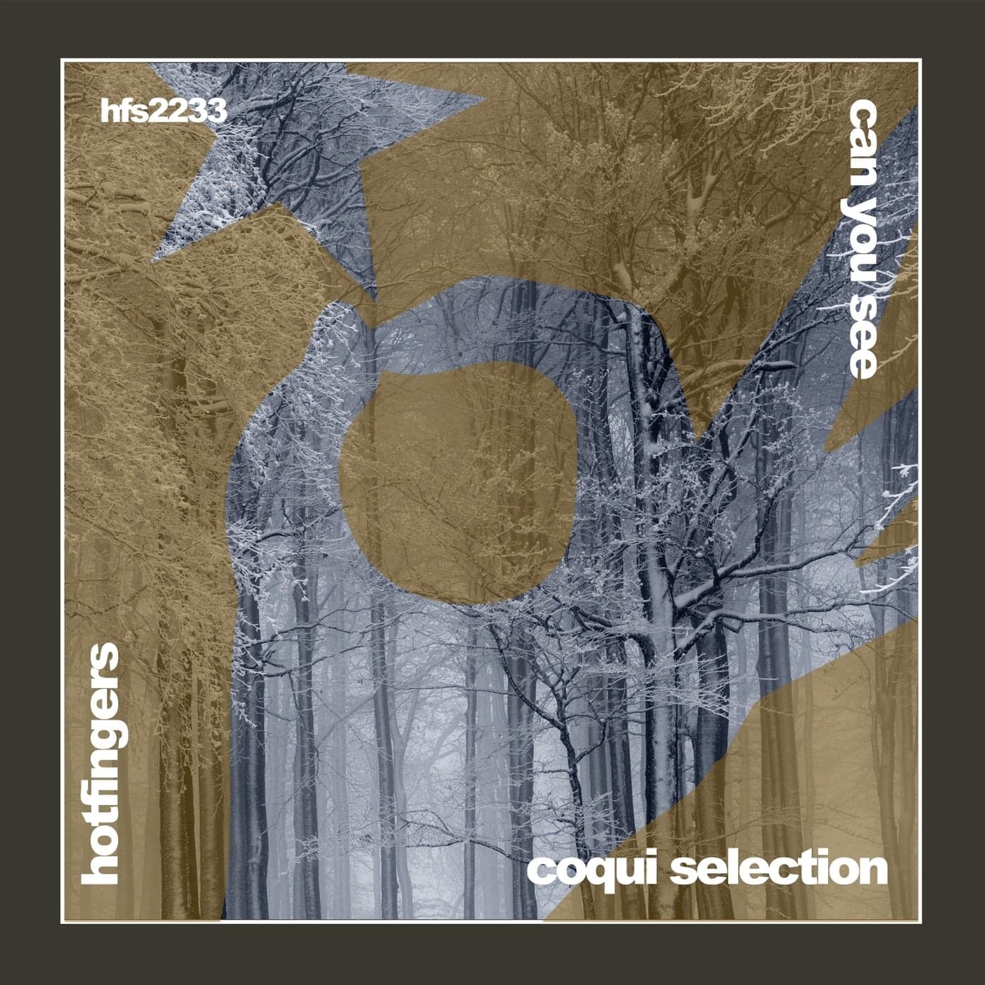 Download Coqui Selection - Can You See on Electrobuzz