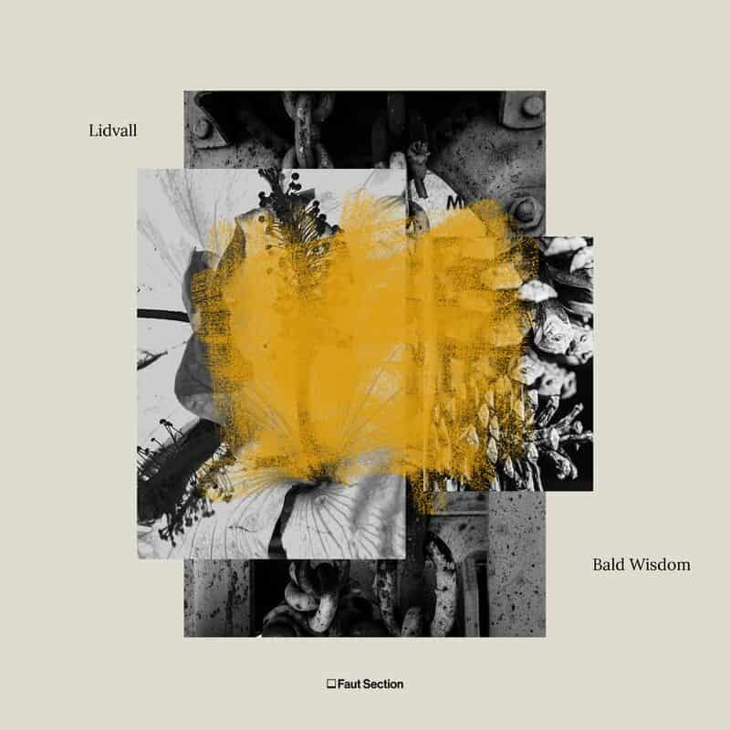 image cover: Lidvall - Bald Wisdom / Faut Section