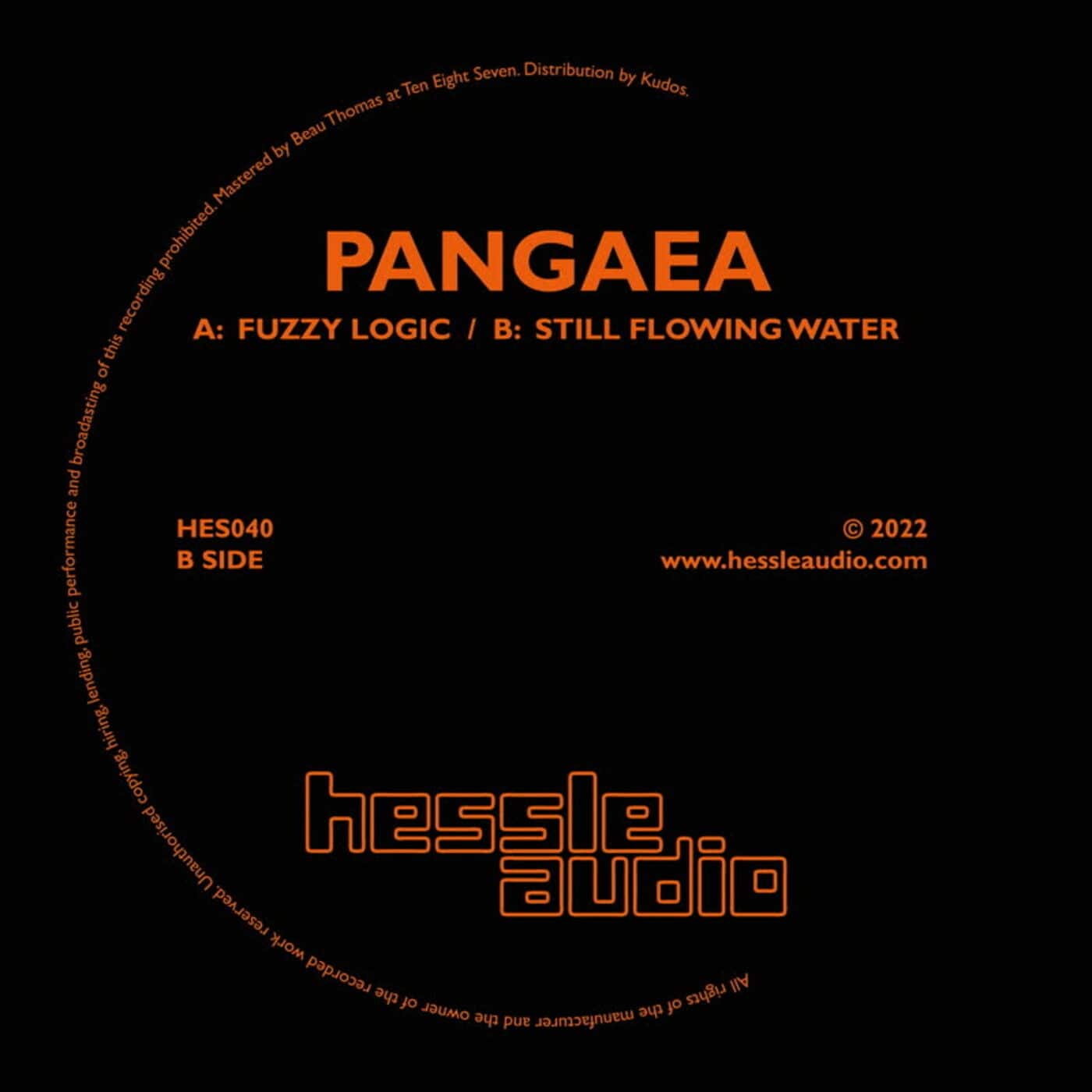 Download Pangaea - Fuzzy Logic / Still Flowing Water on Electrobuzz