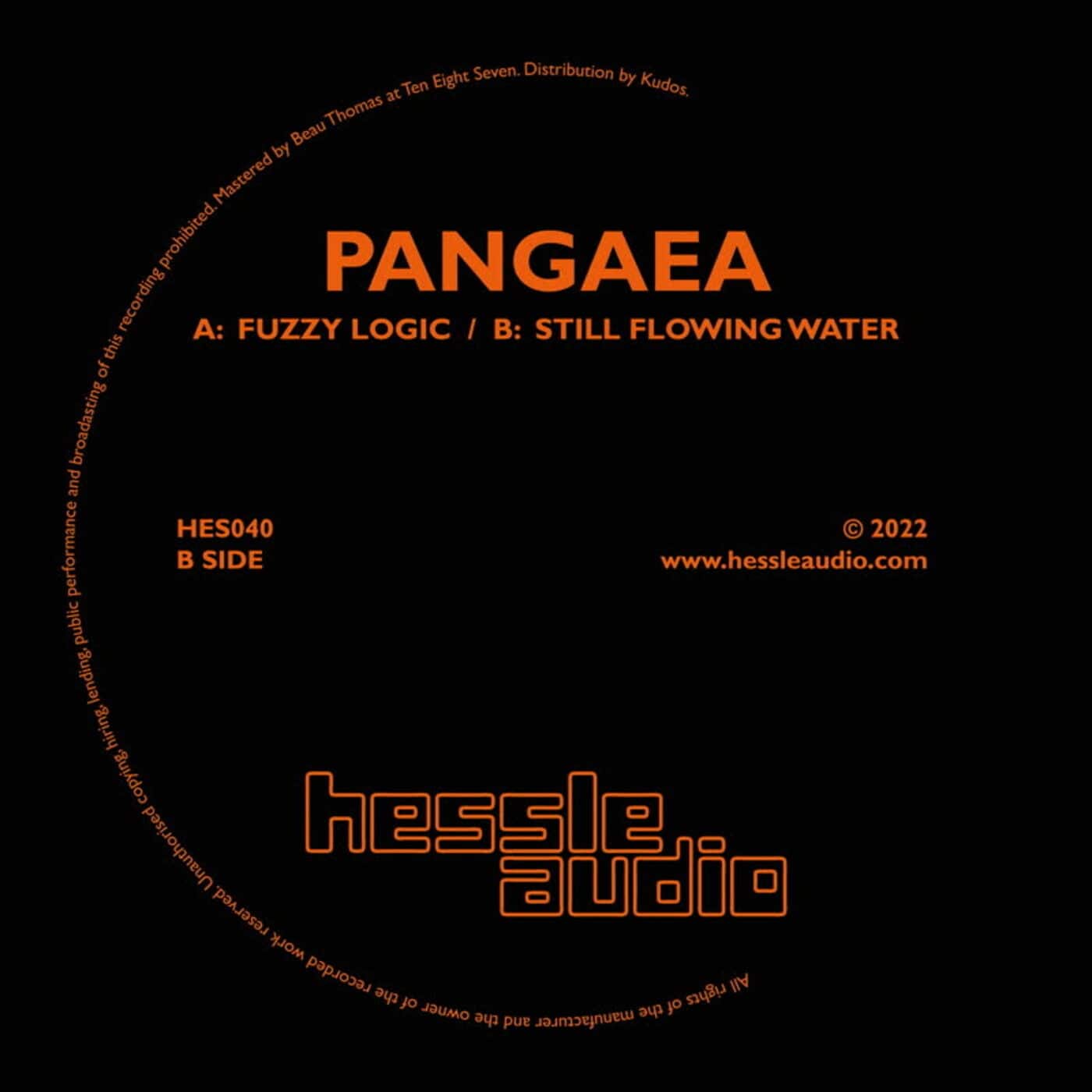 image cover: Pangaea - Fuzzy Logic / Still Flowing Water / HES040