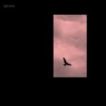 11 2022 346 14083 Various Artists - Kuruka / Lyree