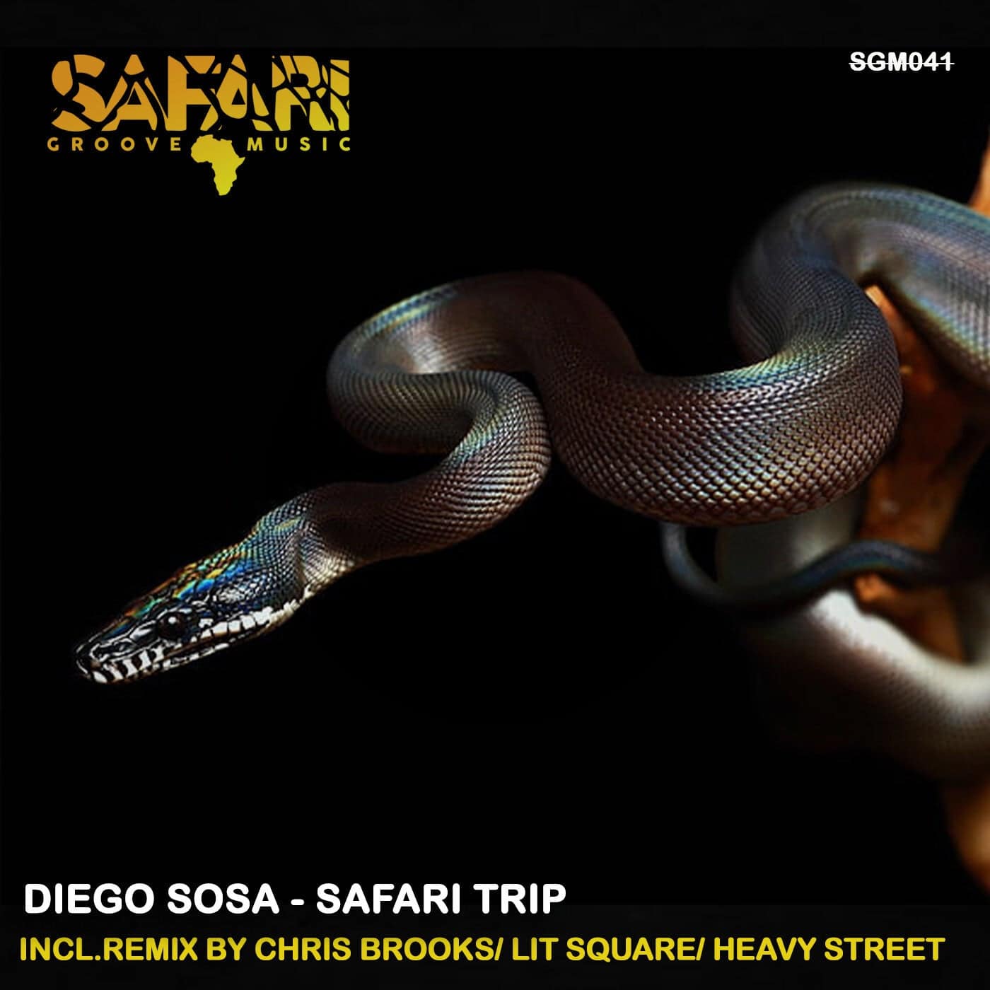 image cover: Diego Sosa - Safari Trip / SGM041