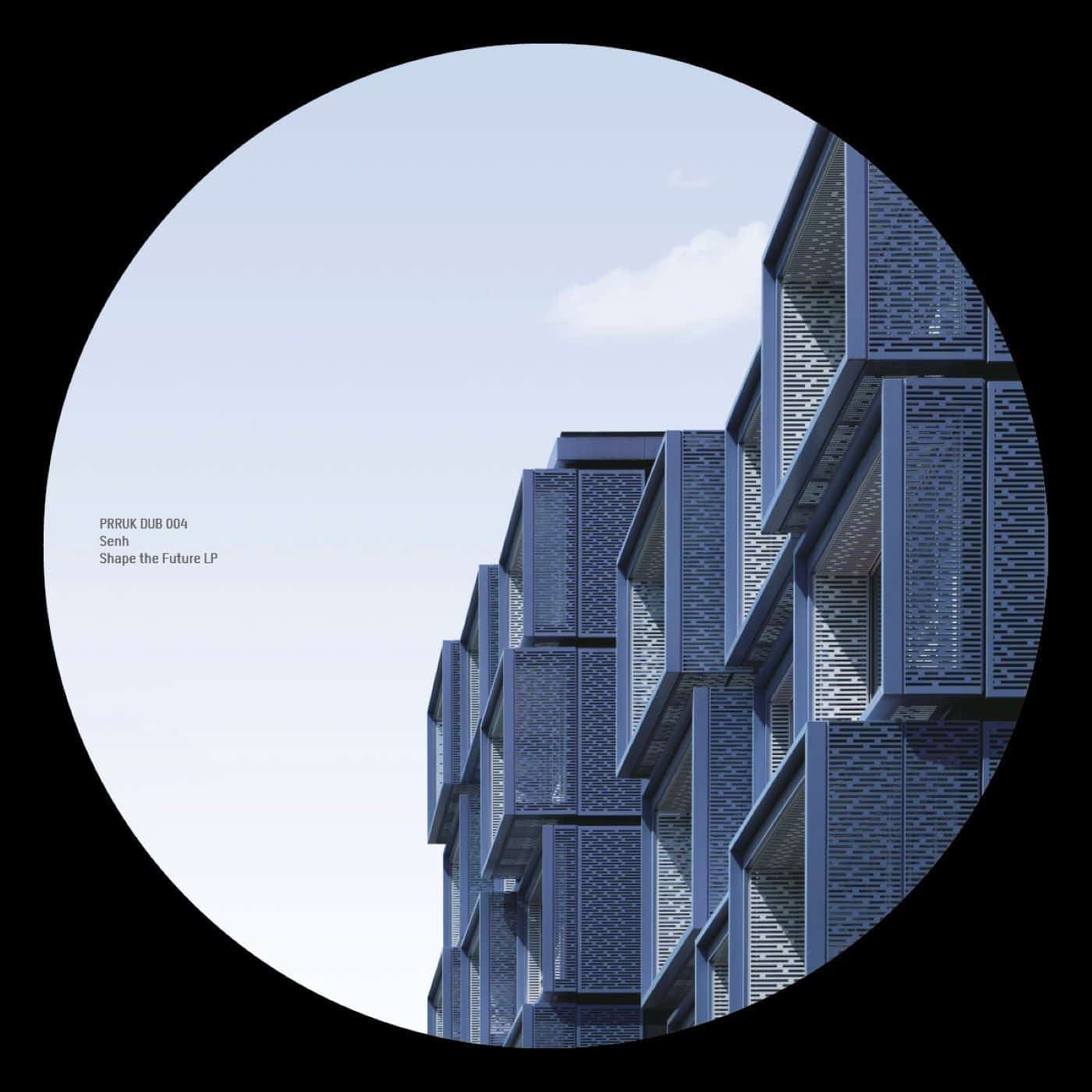 Download Senh - Shape the Future LP on Electrobuzz