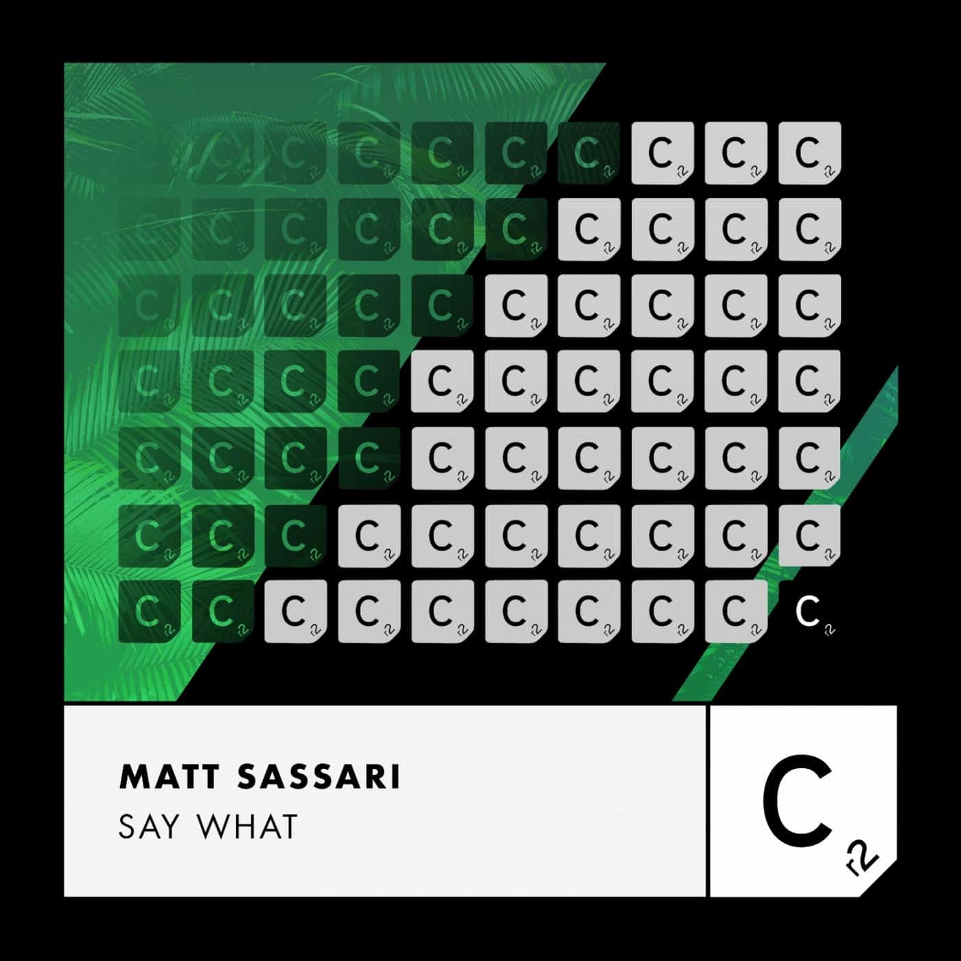 image cover: Matt Sassari - Say What (Extended Mix) / ITC3219BP