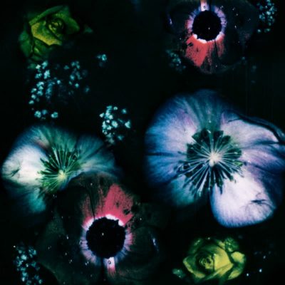 11 2022 346 170853 Vaal, Liam Bailey - Love Reversed / BDNLP014