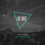 11 2022 346 187435 VA - Fine Picks, Vol. 4 / FM146