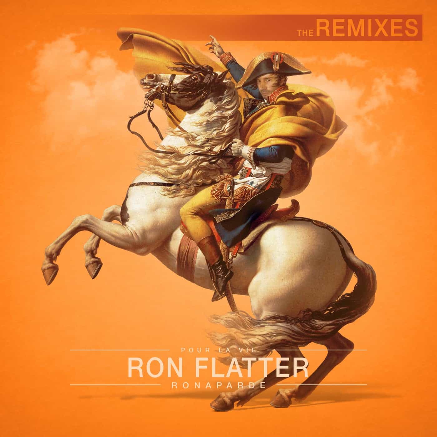 image cover: Ron Flatter - Ronaparde (The Remixes) / PLV52