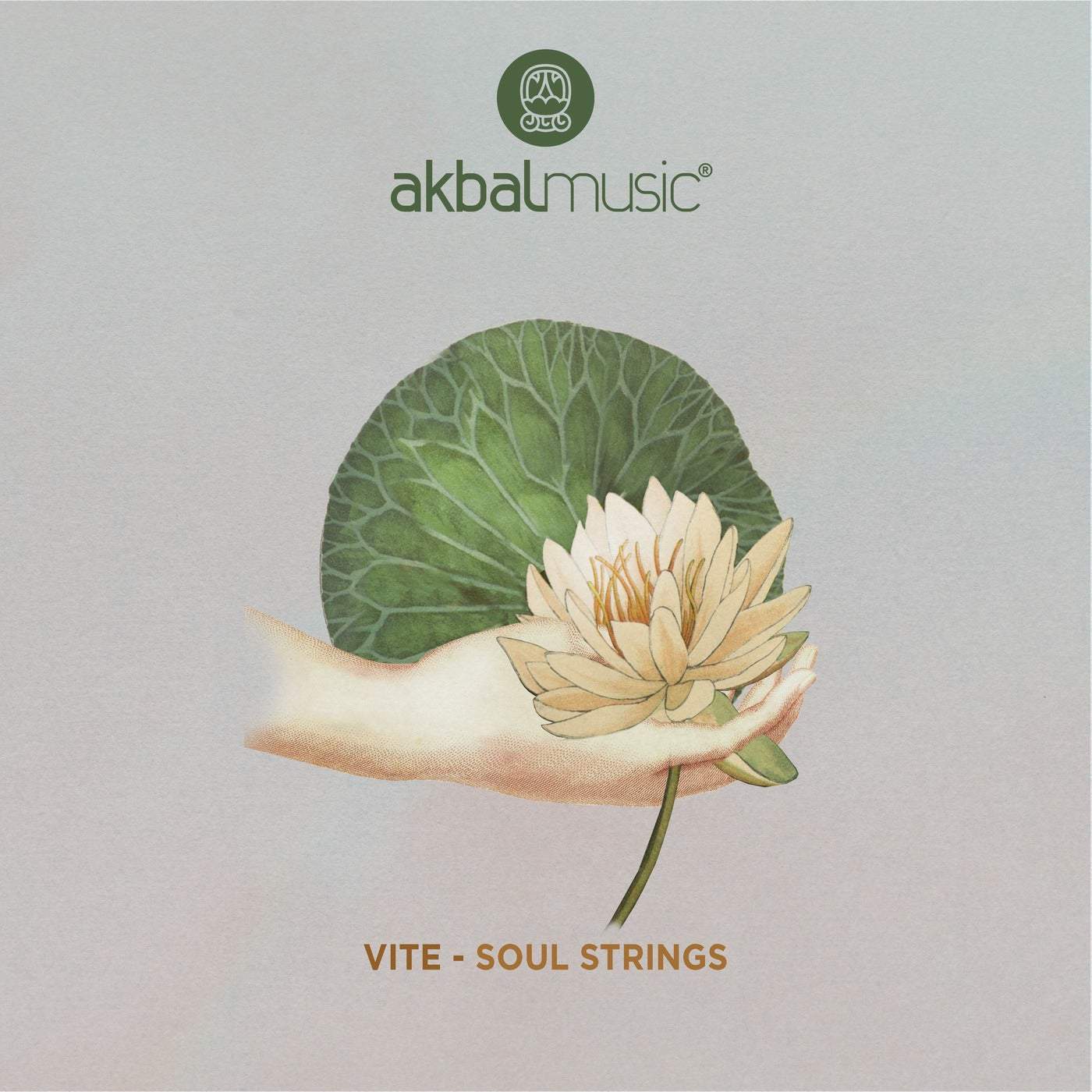 image cover: Vite - Soul Strings / AKBAL212