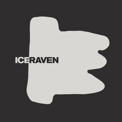 11 2022 346 34163 Nicolas Masseyeff - Ice Raven / SYSTDIGI55