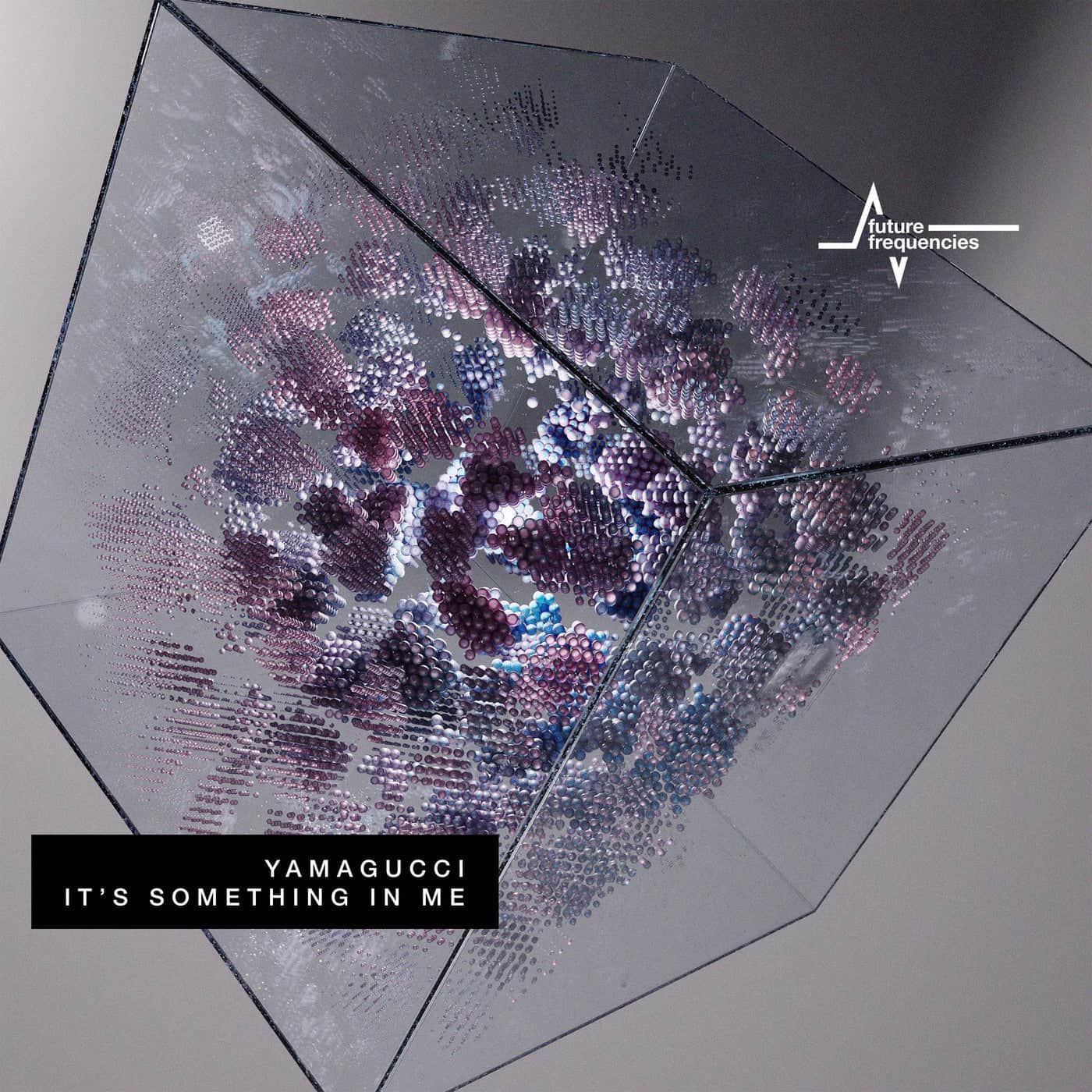 image cover: Yamagucci - It´s Something in Me / FF005