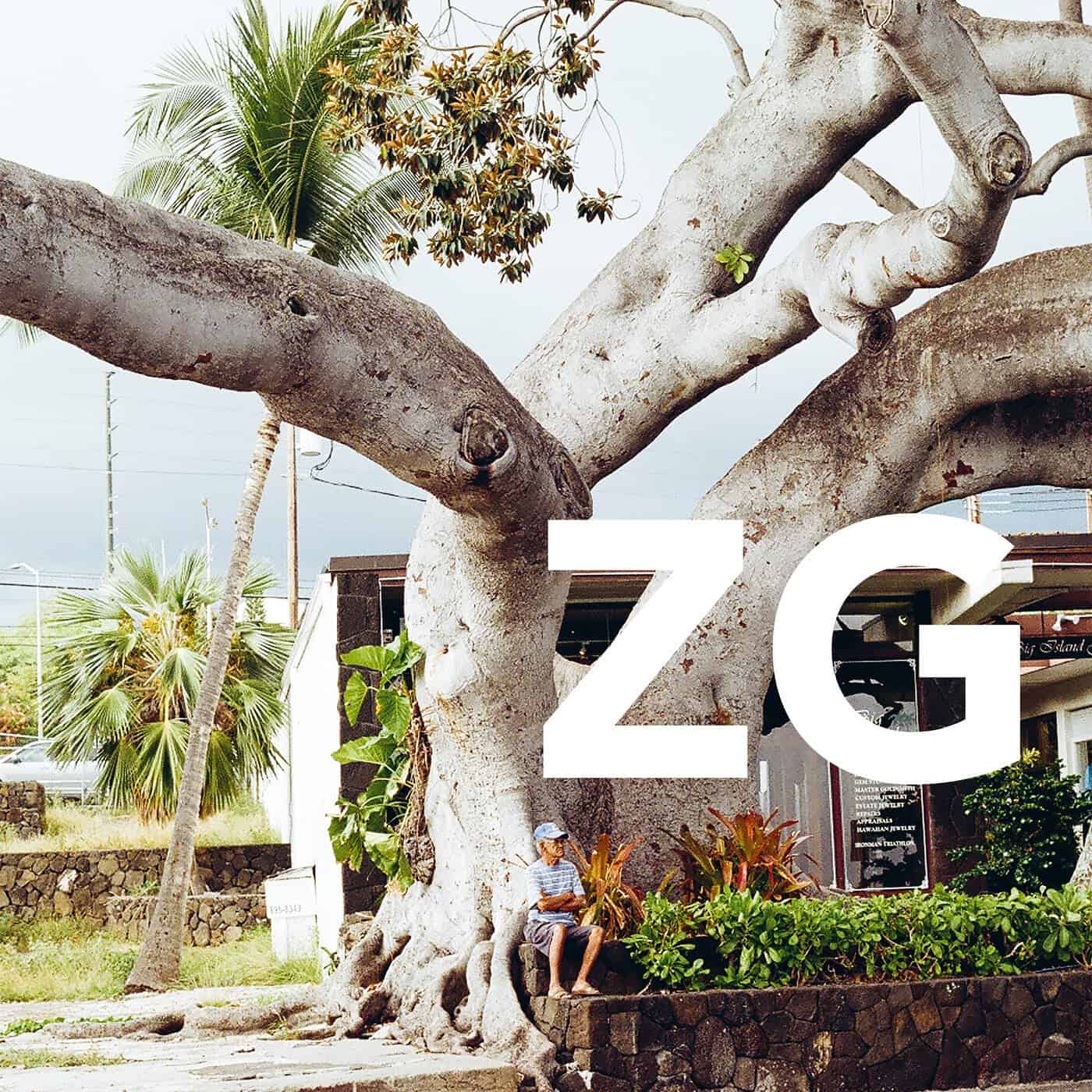 Download ZG - ZG on Electrobuzz