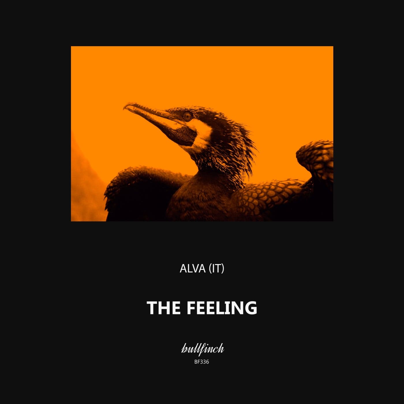 image cover: ALVA (IT) - The Feeling / BF336