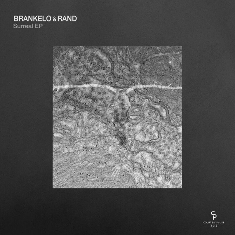 image cover: Brankelo - Surreal EP / Counter Pulse