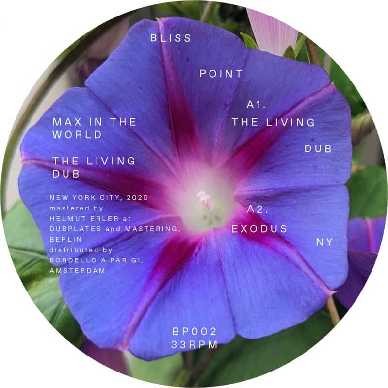image cover: Max In The World - The Living Dub / Bliss Point