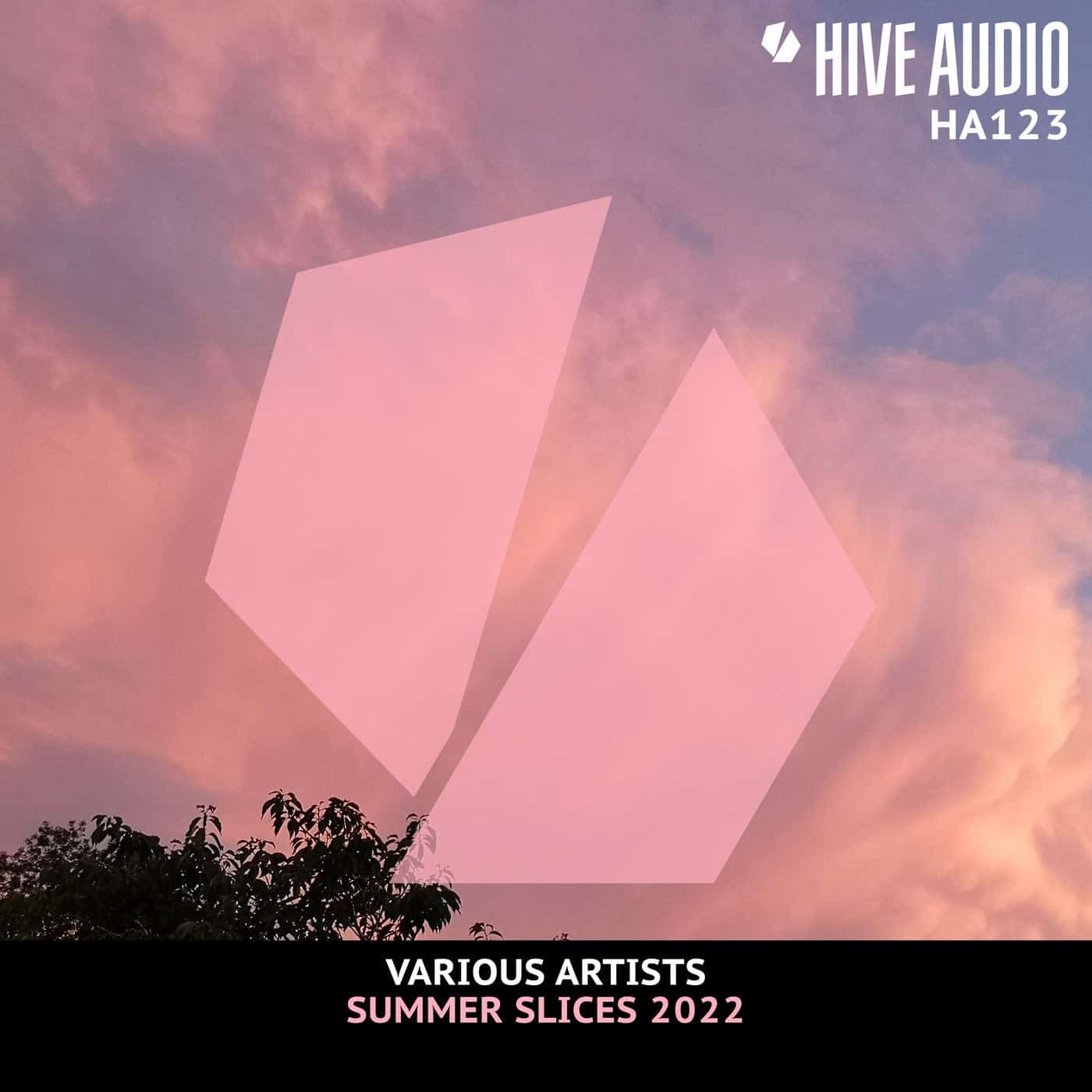 Download V.A. - Hive Audio Summer Slices 2022 on Electrobuzz