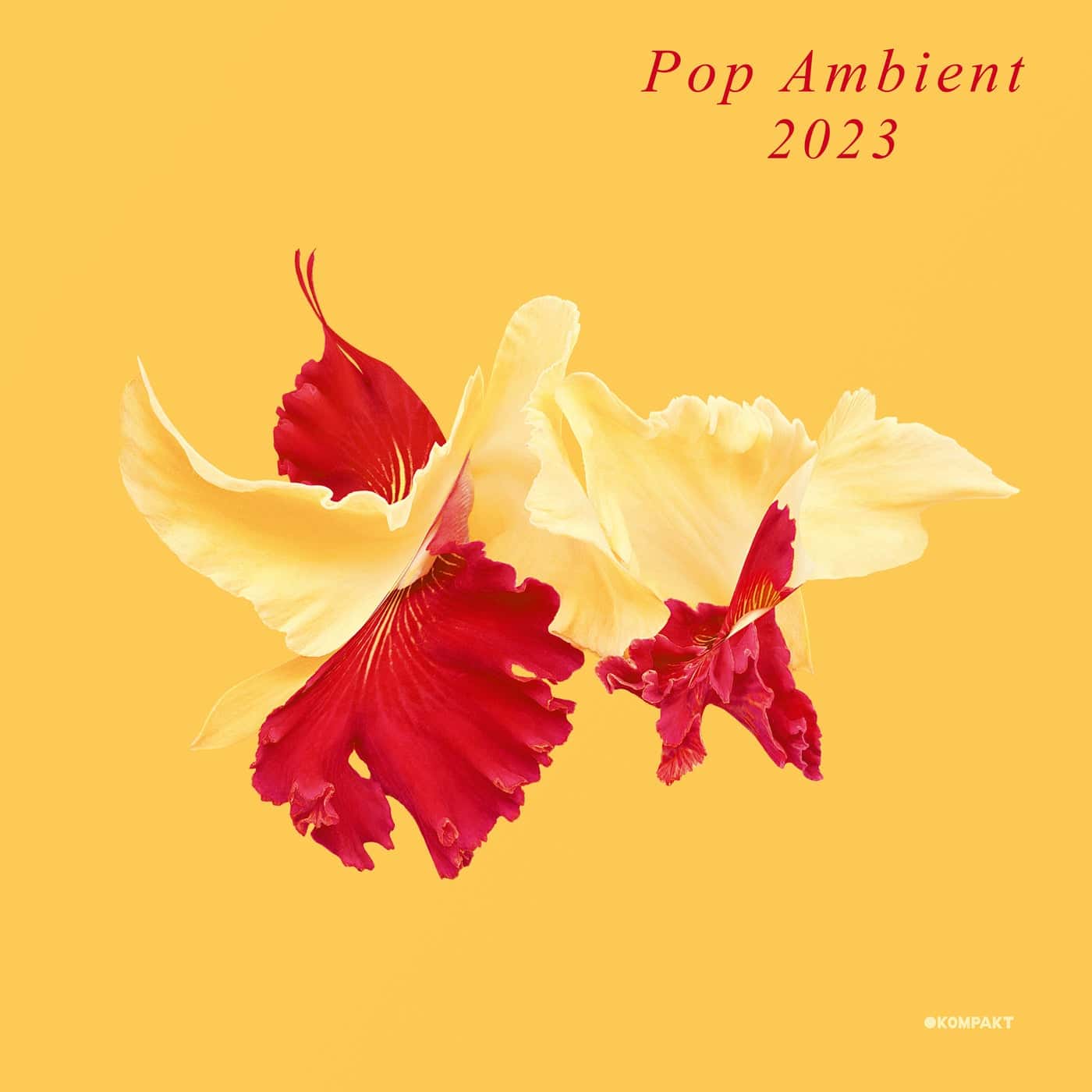 Download VA - Pop Ambient 2023 on Electrobuzz