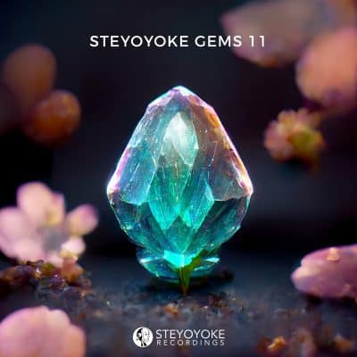 12 2022 346 186864 VA - Steyoyoke Gems 11 / SYYKCOMP018