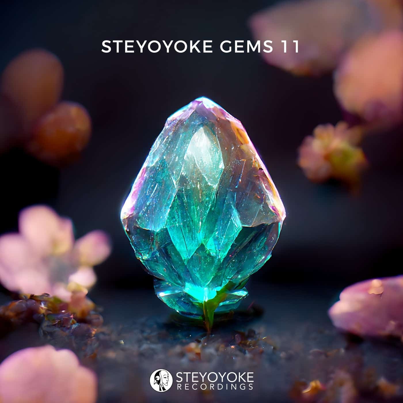 image cover: VA - Steyoyoke Gems 11 / SYYKCOMP018