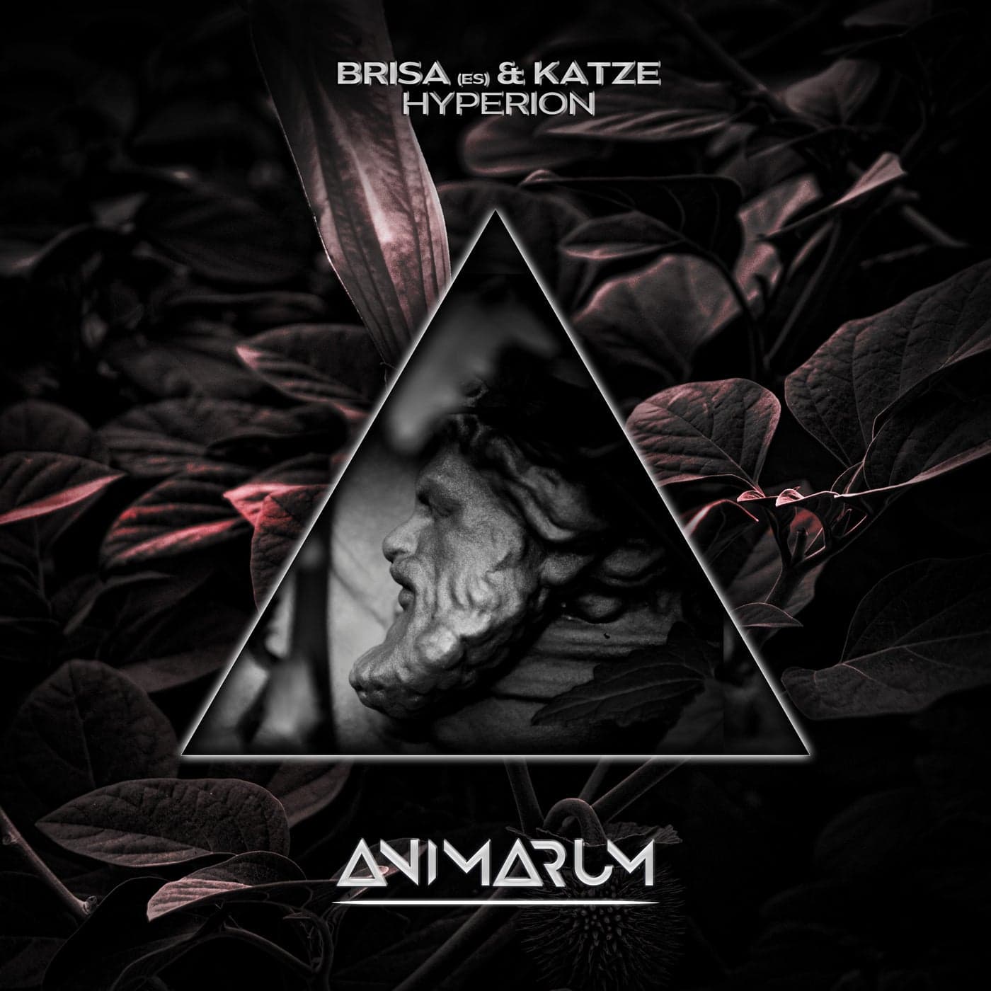 image cover: Katze, Brisa (ES) - Hyperion / AMR49