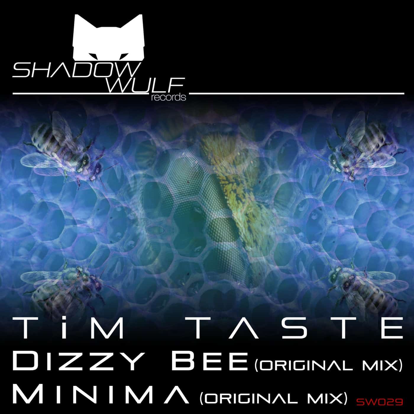 image cover: TiM TASTE - Dizzy Bee / SW029