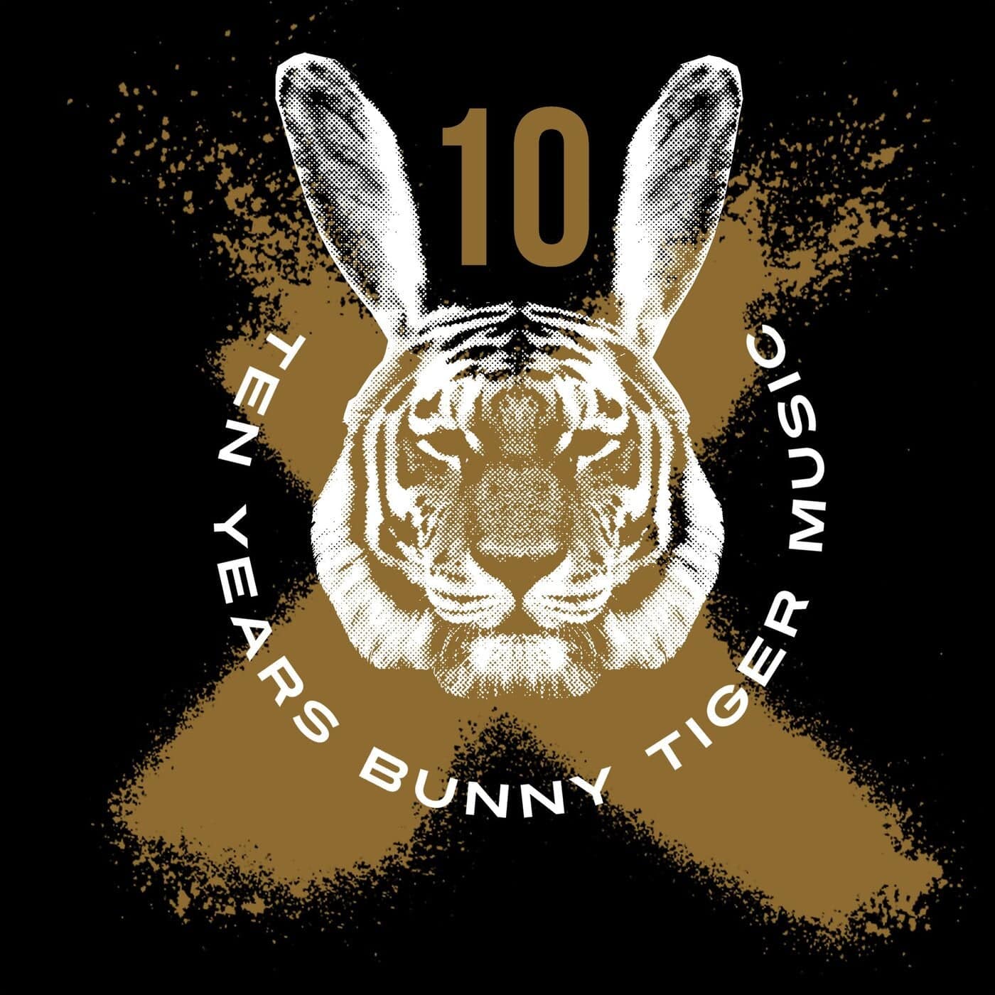 image cover: VA - Bunny Tiger 10 Years Anniversary / BTANNI10
