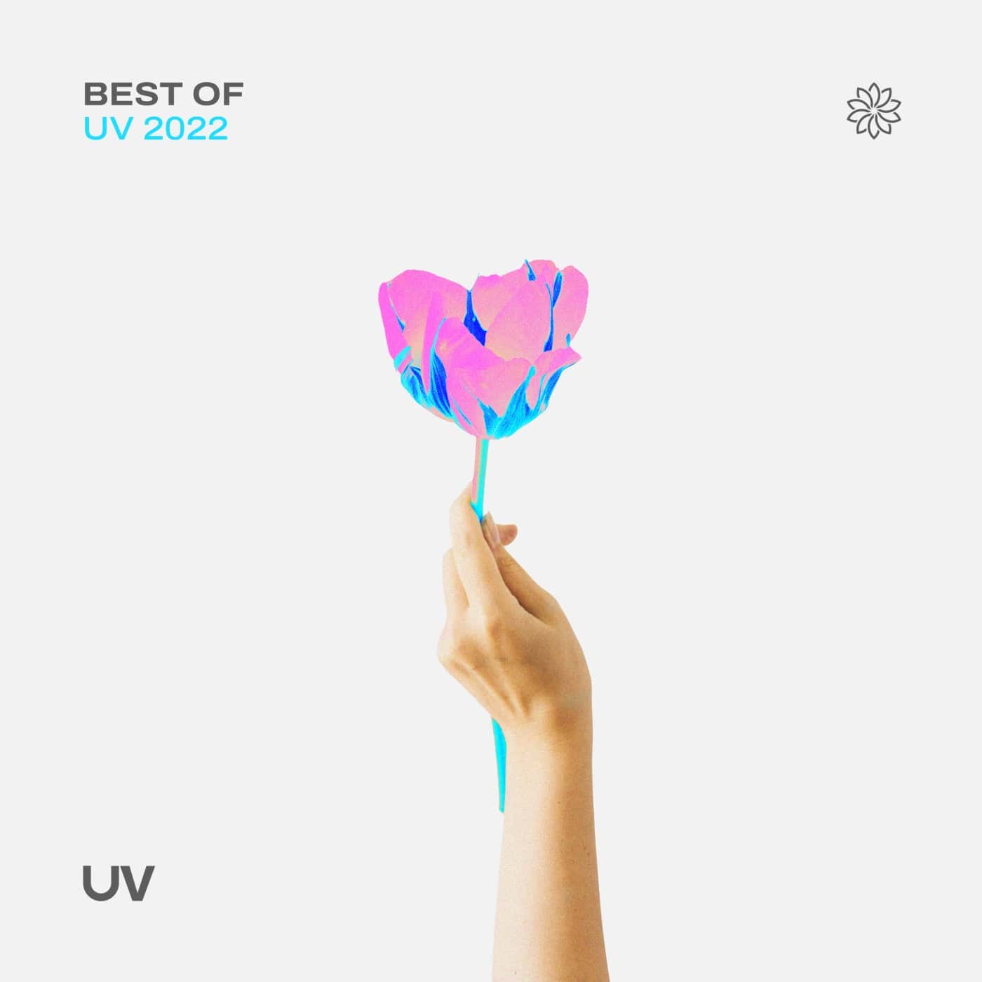 image cover: VA - Best of UV 2022 / UVDC2022