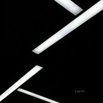 12 2022 346 61196 Other Form - Neanthe / TRM239