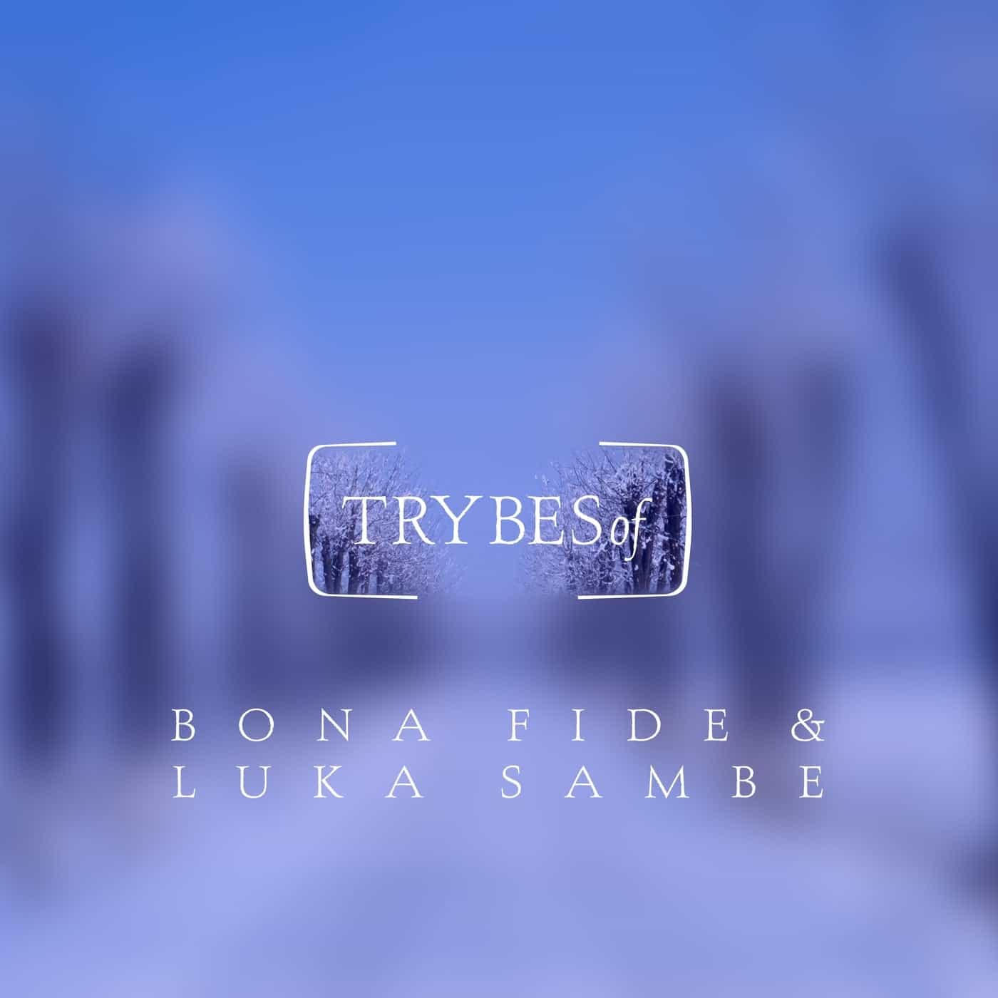 image cover: Bona Fide, Luka Sambe - Endless Gaiety / TRY042