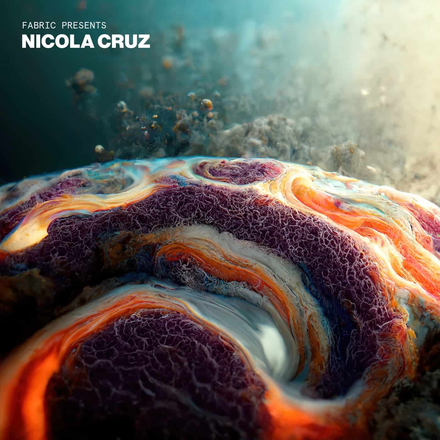 image cover: VA - fabric presents Nicola Cruz (DJ Mix) / FABRIC214D