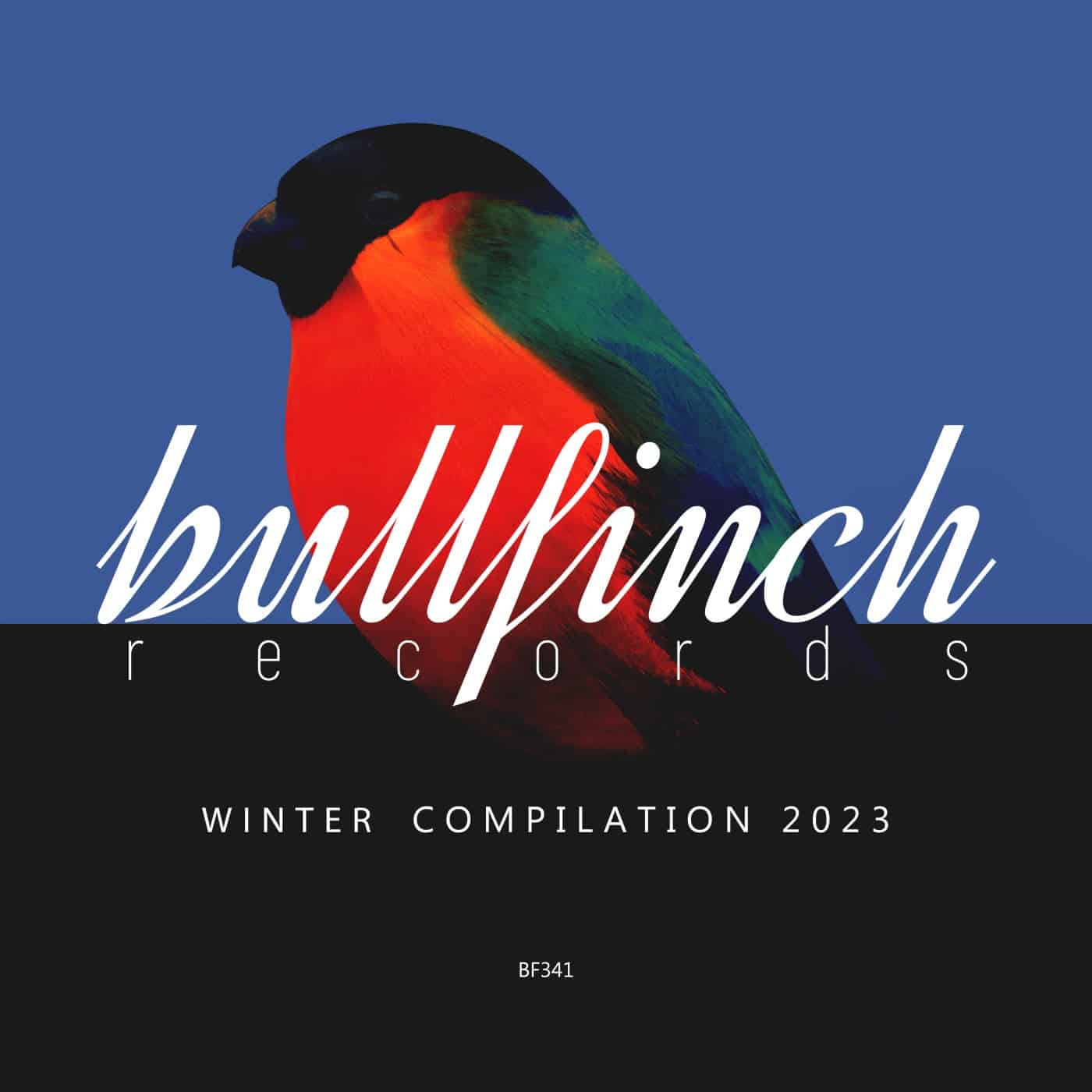 image cover: VA - Bullfinch Winter 2023 Compilation / BF341