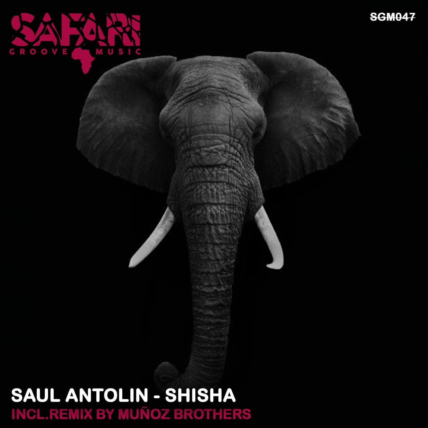 image cover: Saul Antolin - Shisha / SGM047