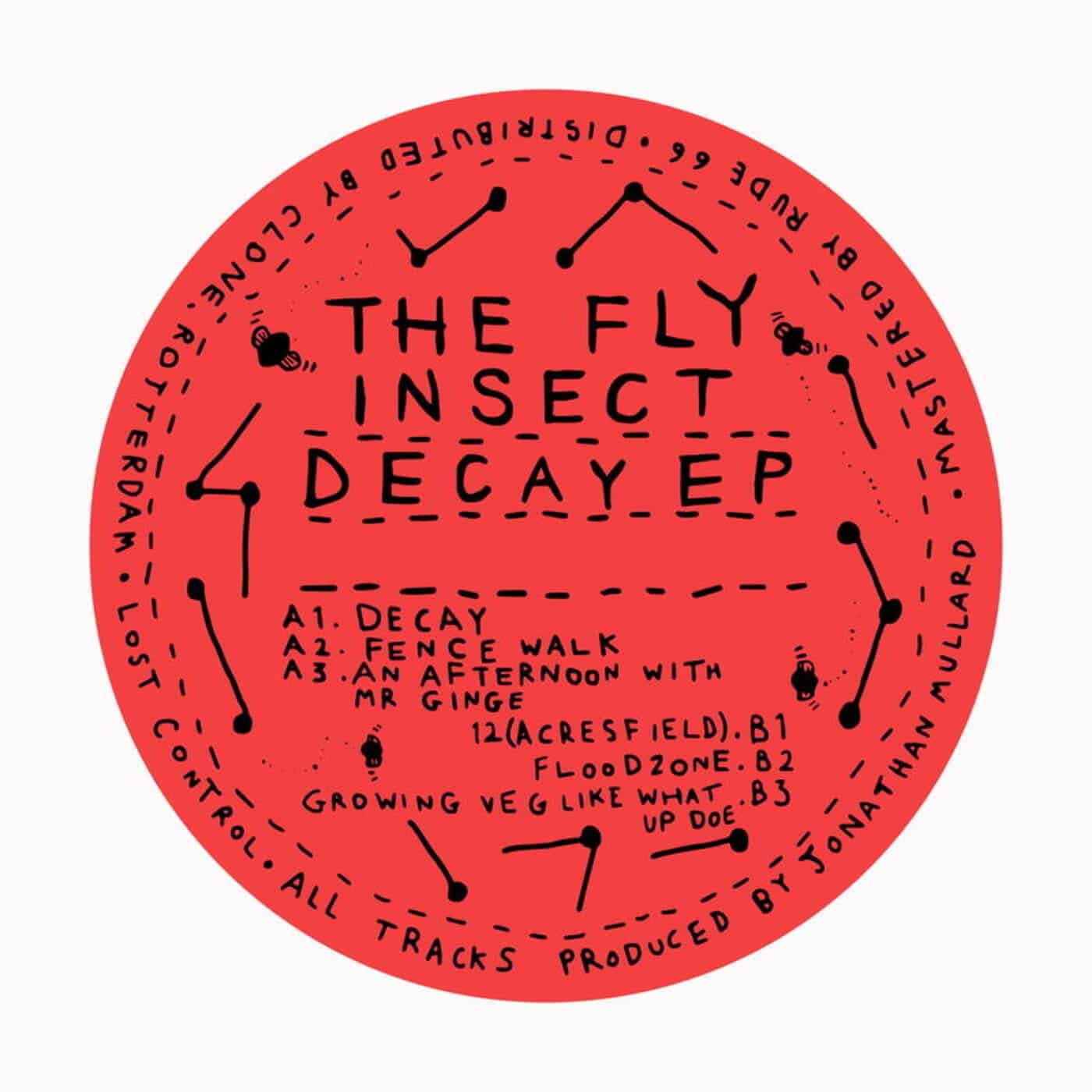 image cover: The Fly Insect - Decay EP / LC2097003