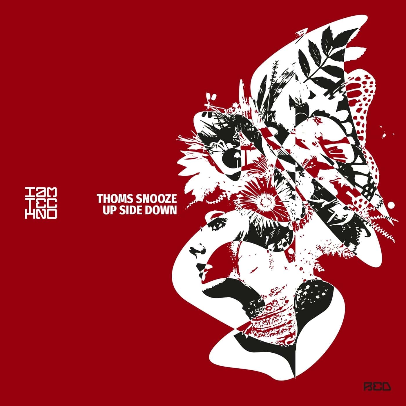 Download Thoms Snooze - Up Side Down on Electrobuzz