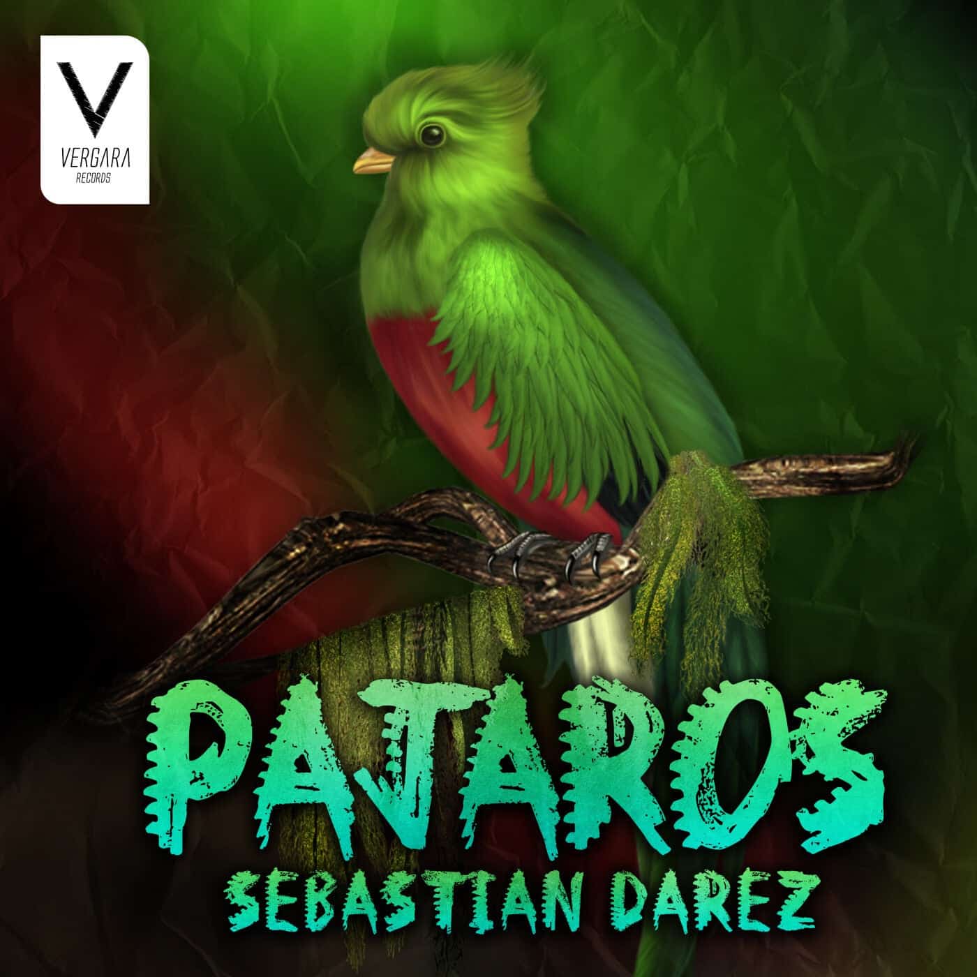image cover: Sebastian Darez - Pajaros / VER013