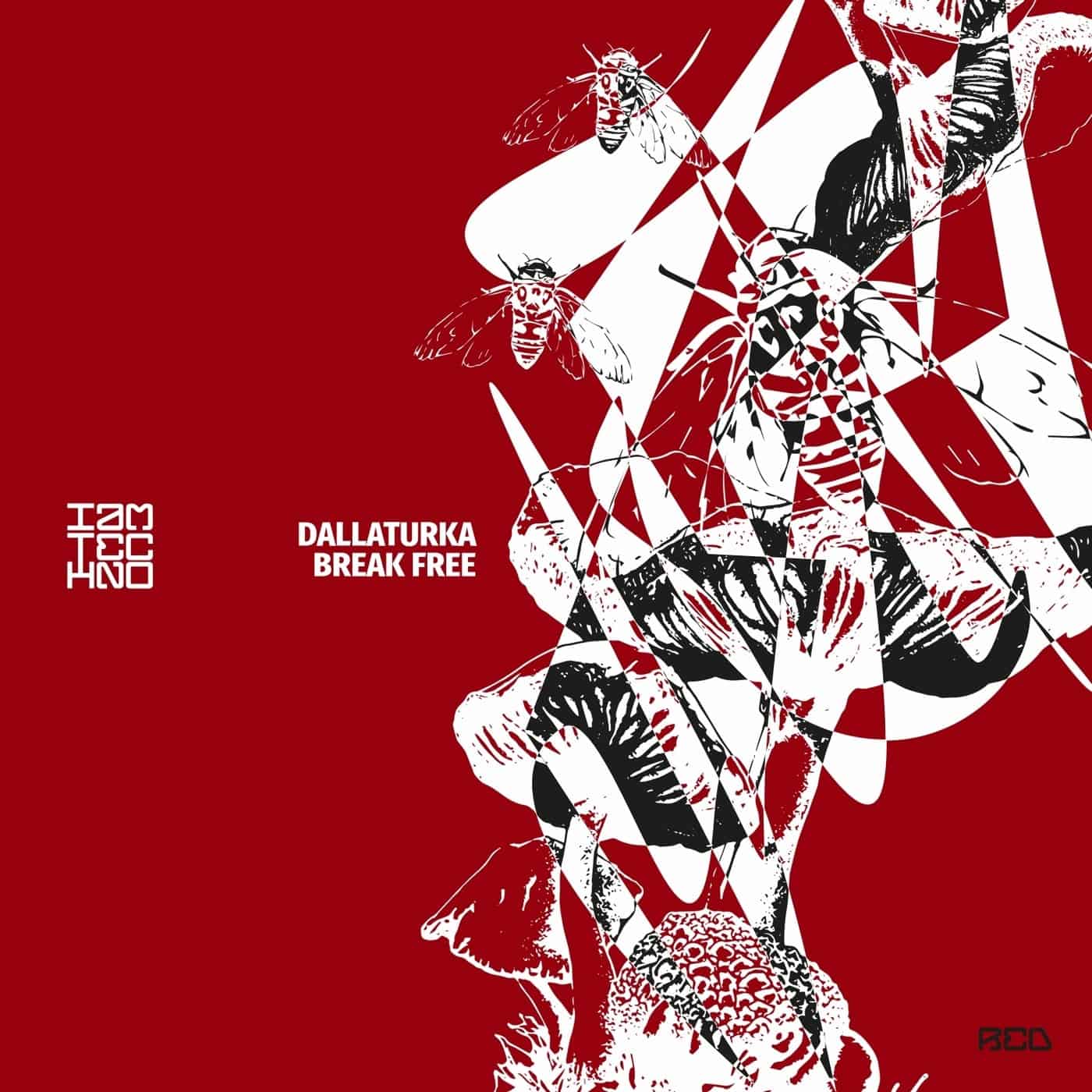 Download DALLATURKA - Break Free on Electrobuzz