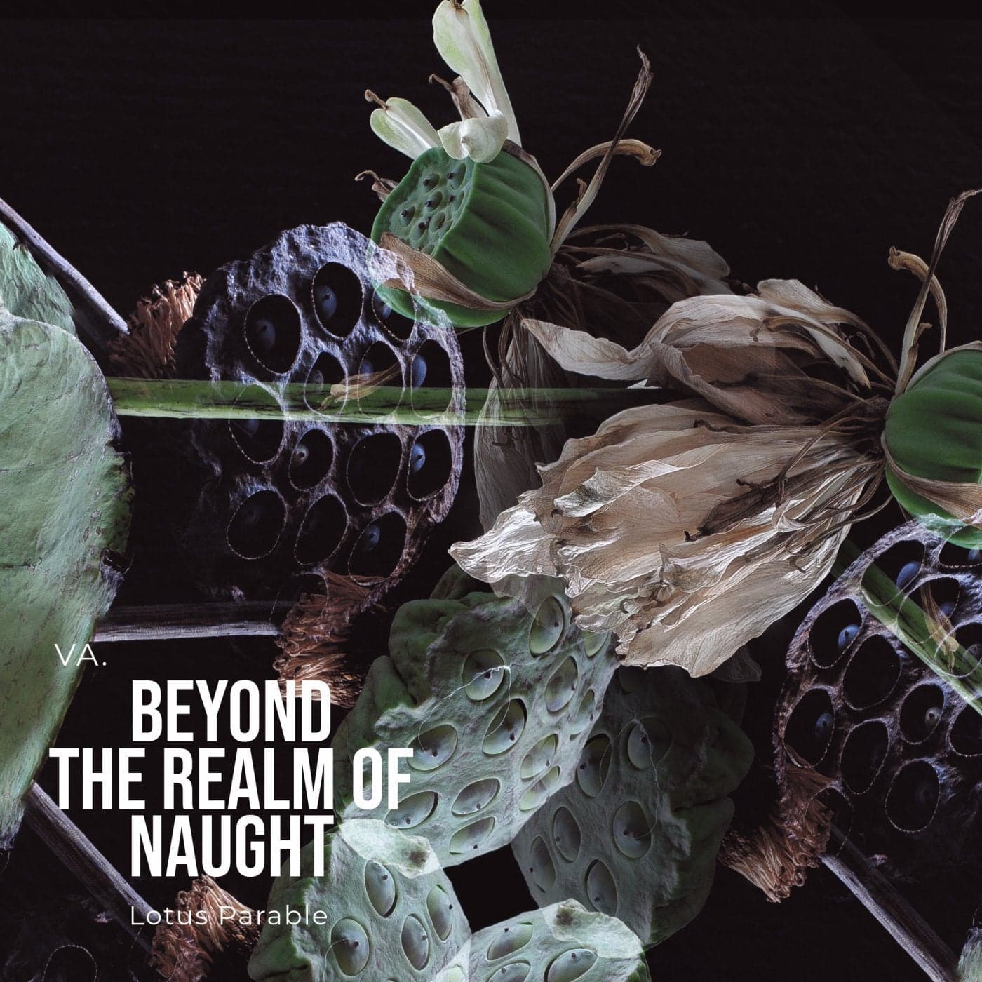 image cover: VA - VA Beyond The Realm of Naught / LPR001