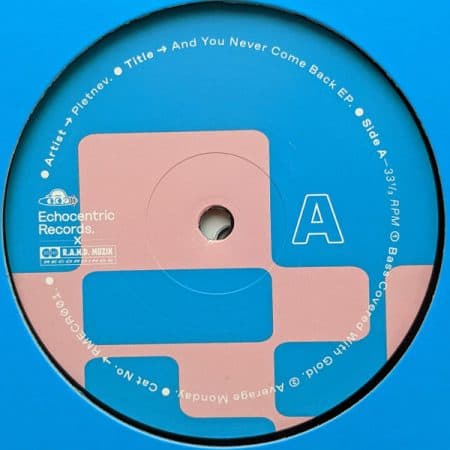 01 2023 346 91339 Pletnev - And You Never Come Back EP / RMECR001, RMECR001