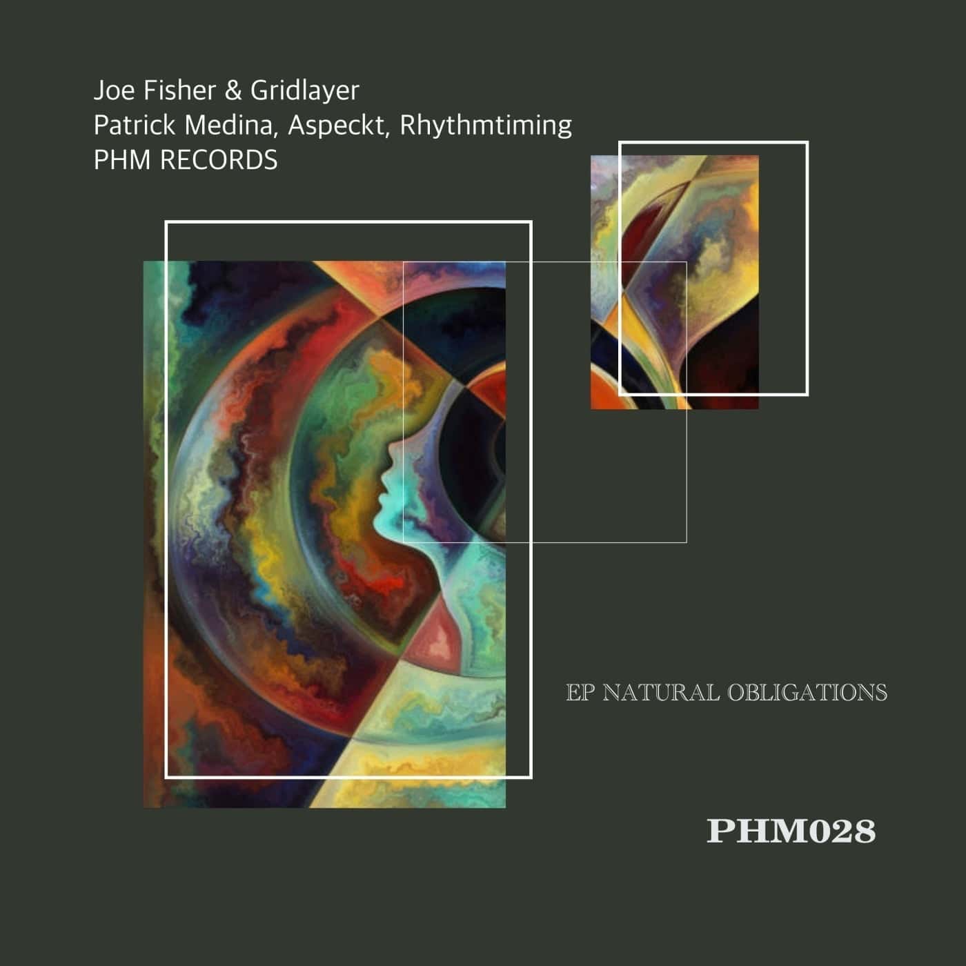 Download Joe Fisher, Gridlayer - Natural Obligations on Electrobuzz