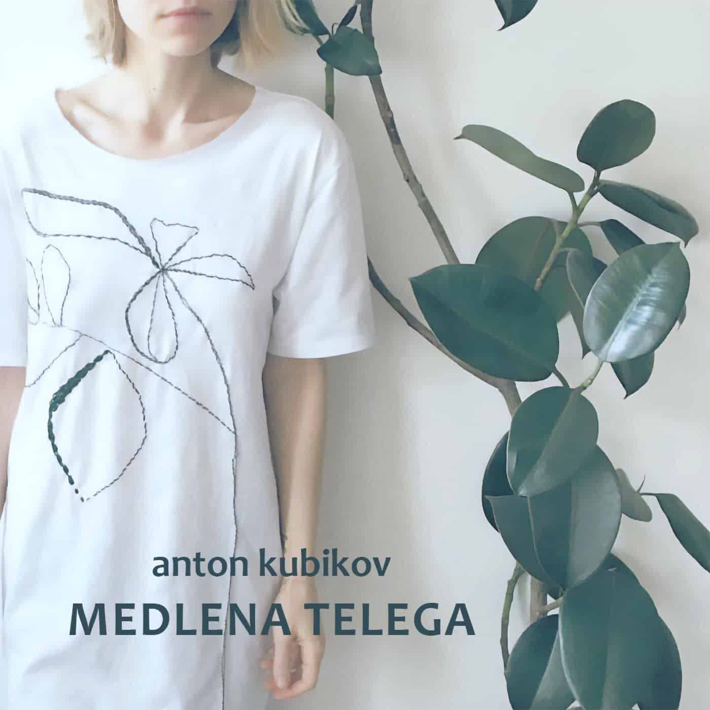 image cover: Anton Kubikov - Medlena Telega / RT012