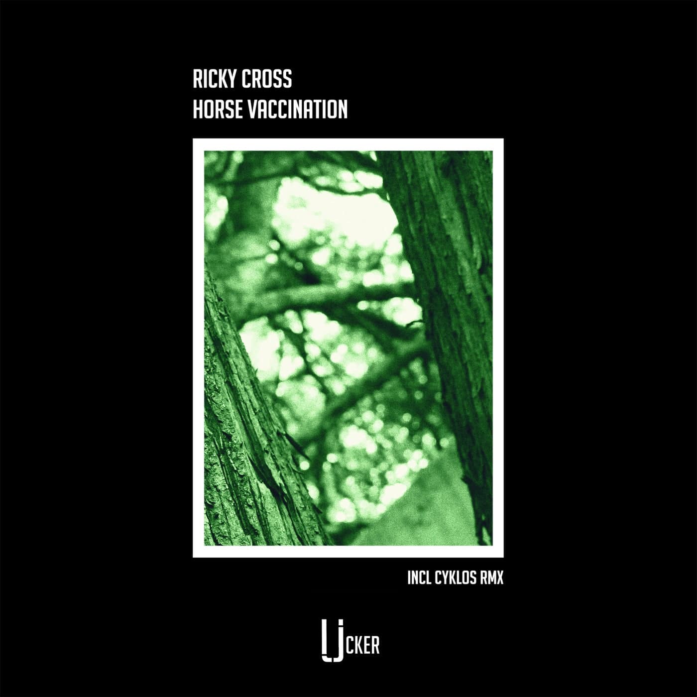 Download Ricky Cross - Horse Vaccination on Electrobuzz