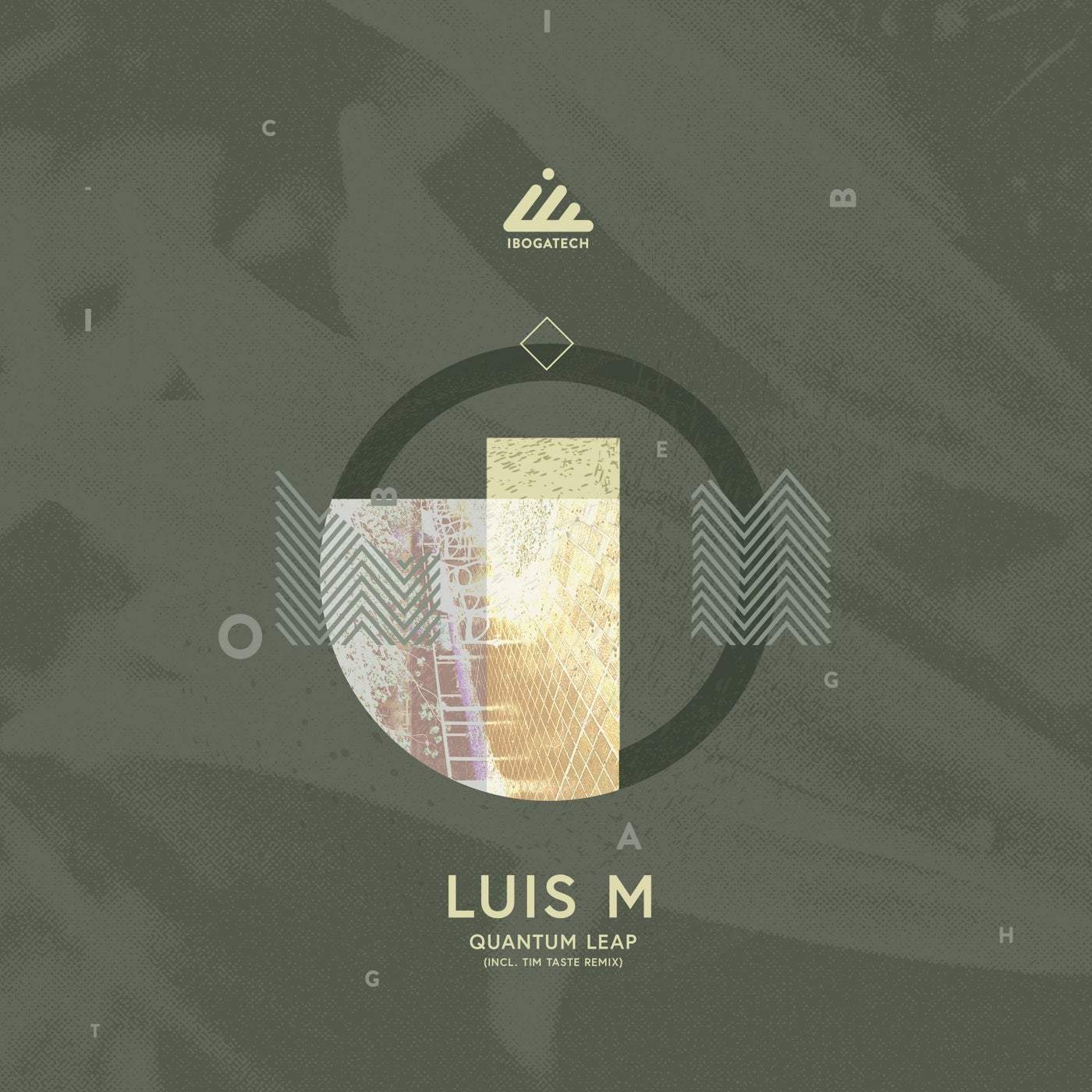 Download Luis M - Quantum Leap on Electrobuzz