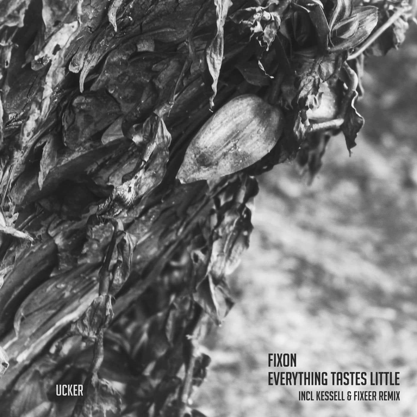 Download Fixon - Everything Tastes Little on Electrobuzz