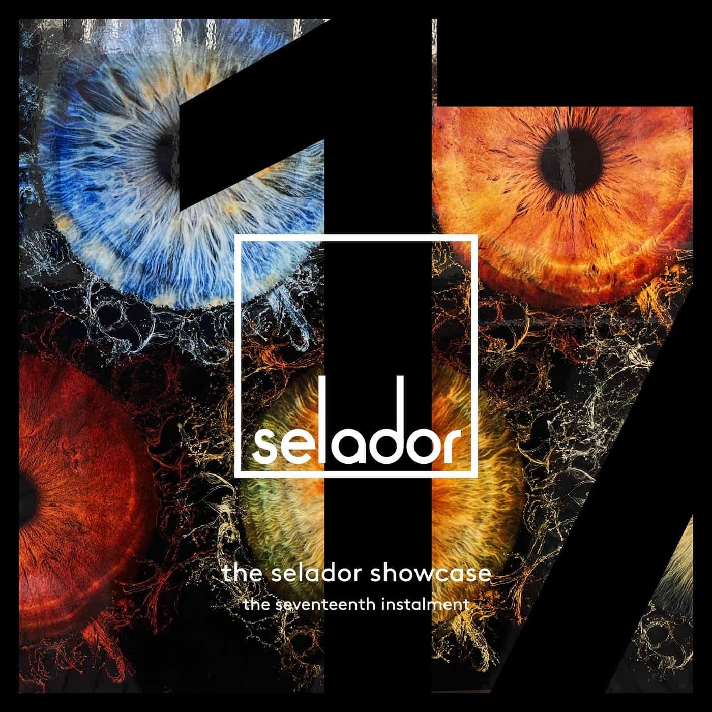 image cover: VA - The Selador Showcase - The Seventeenth Instalment / SEL163