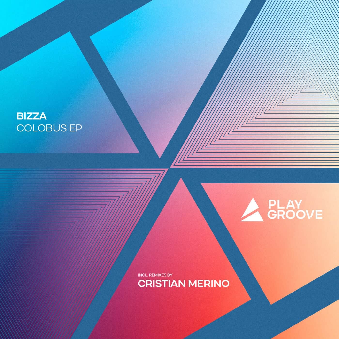 Download BizZa - Colobus EP on Electrobuzz