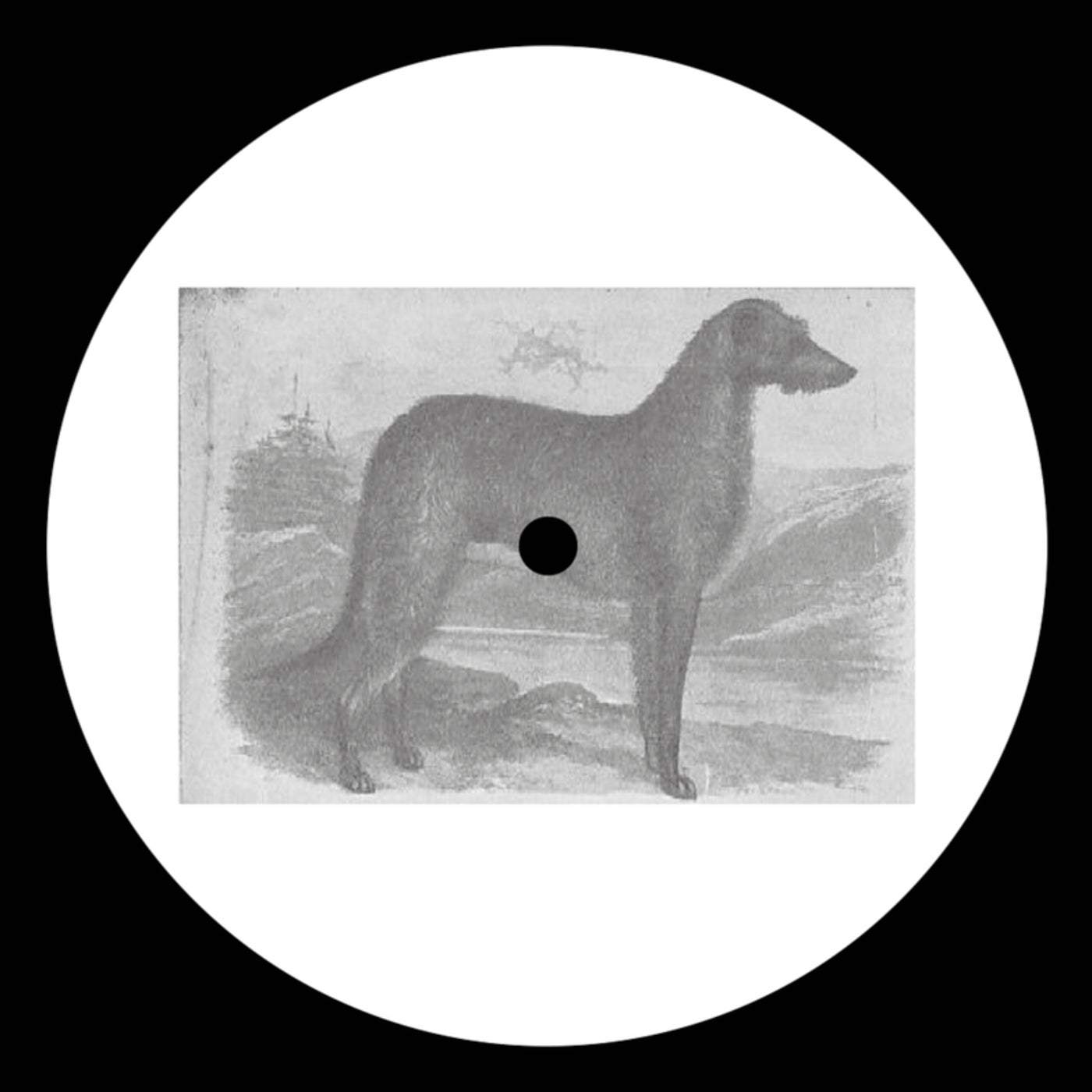 Download DJ Longsleeve - Glyder Fach on Electrobuzz