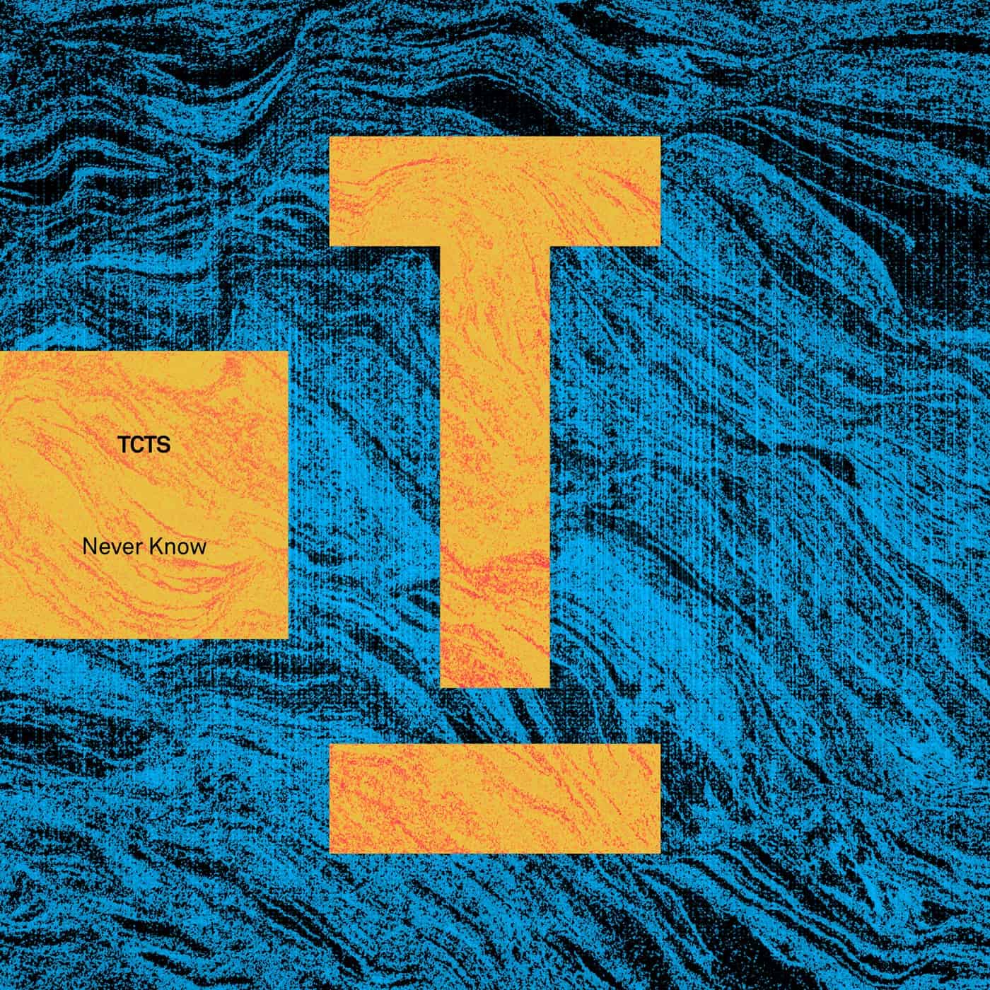 image cover: TCTS - Never Know / TOOL117301Z