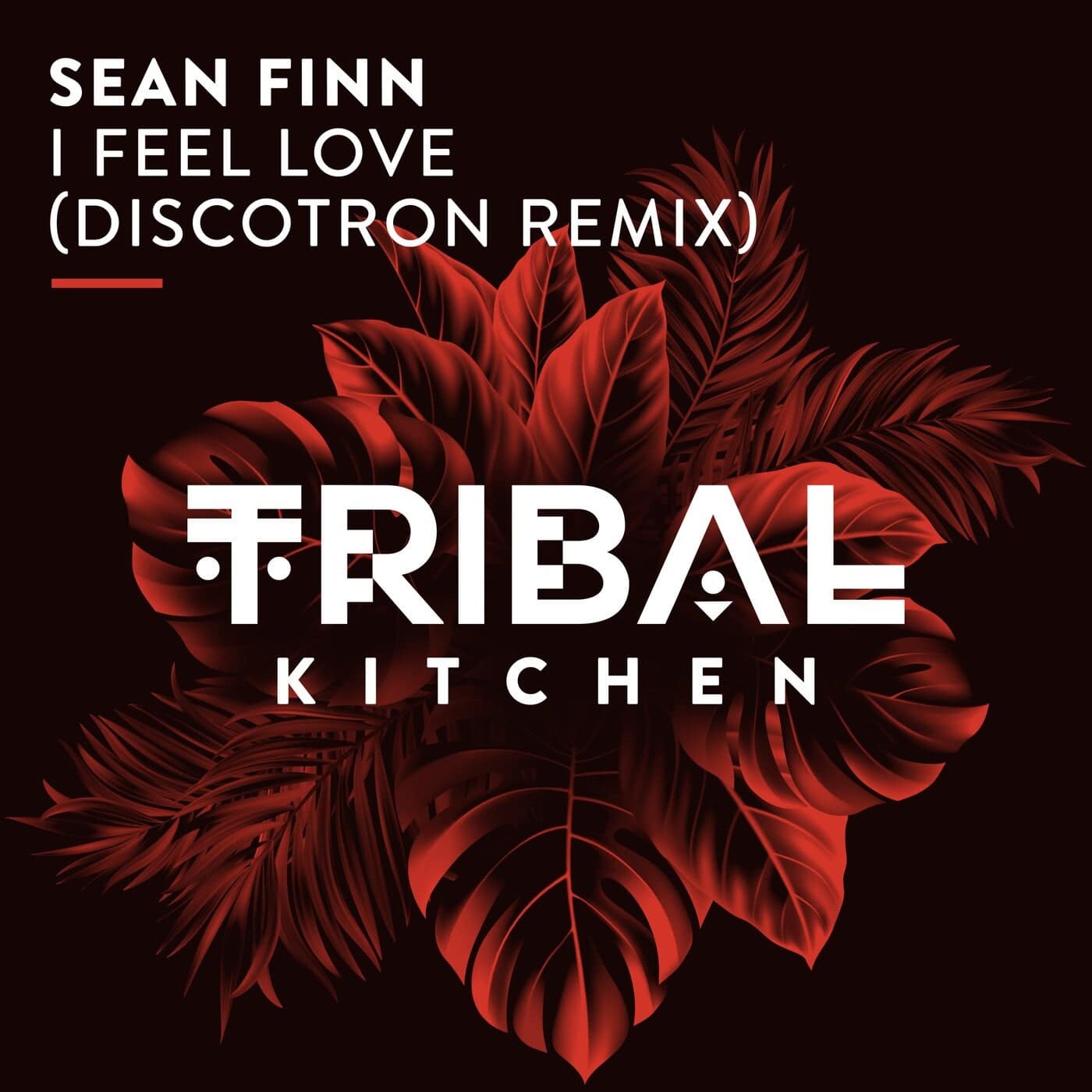 image cover: Sean Finn - I Feel Love (Discotron Remix) / TK247