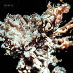 03 2023 346 09163175 Various Artists - ISSXI.III | EP3 /
