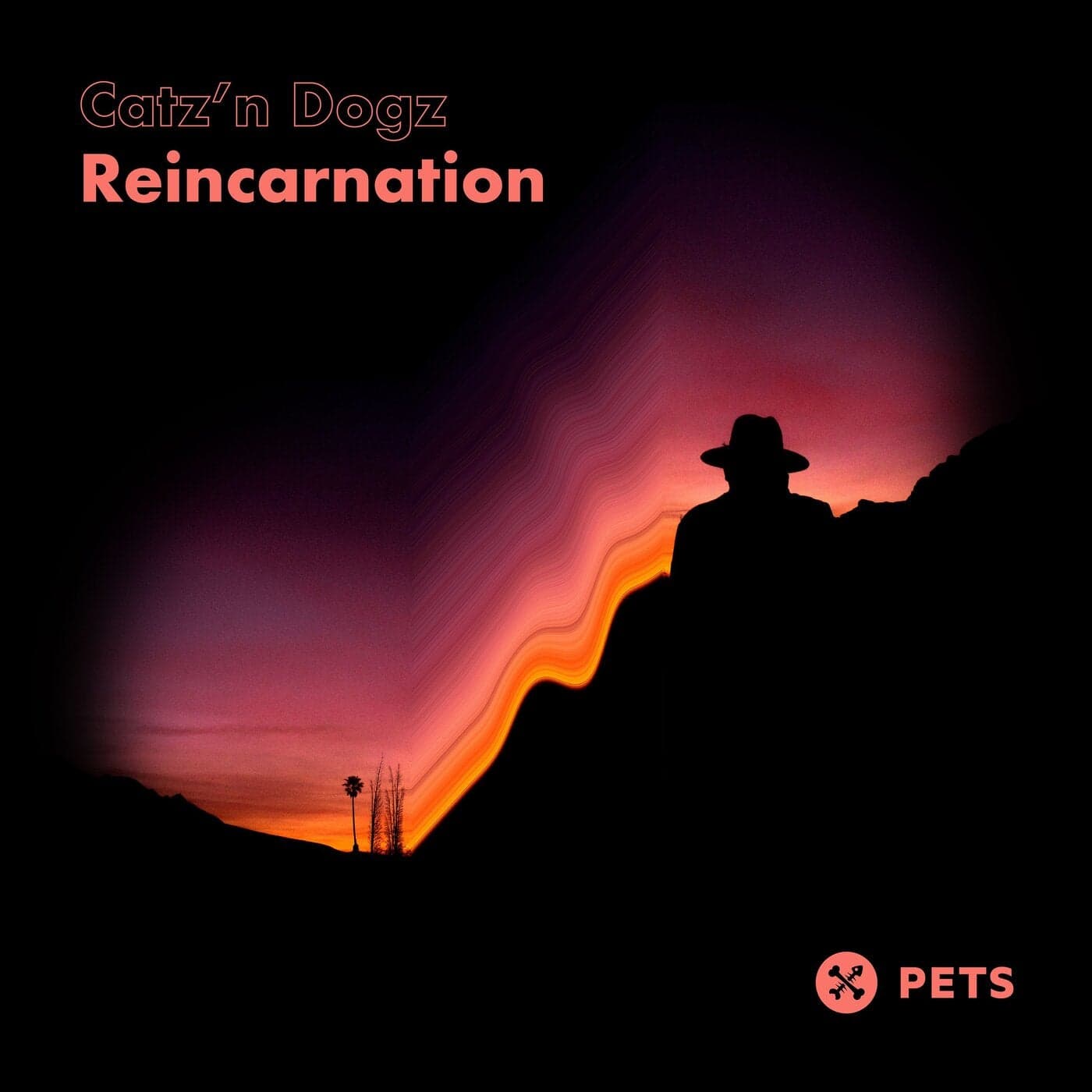 Download Catz 'n Dogz - Reincarnation EP on Electrobuzz